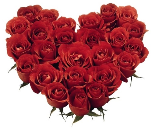 roseheart
